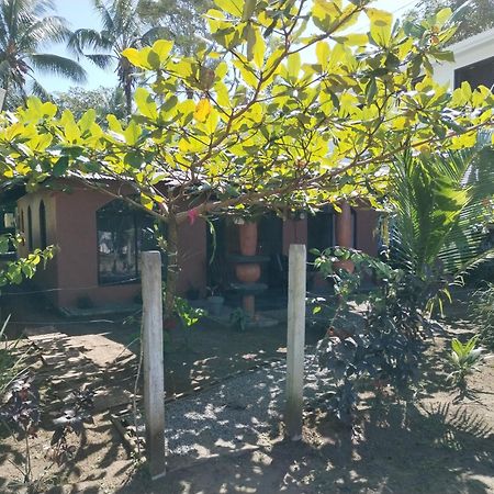 Micheck Beach House Tortuguero Dış mekan fotoğraf