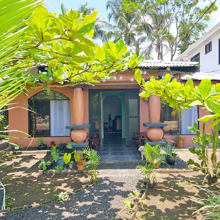 Micheck Beach House Tortuguero Dış mekan fotoğraf