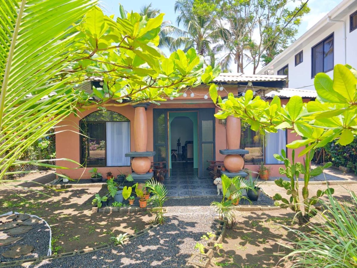 Micheck Beach House Tortuguero Dış mekan fotoğraf